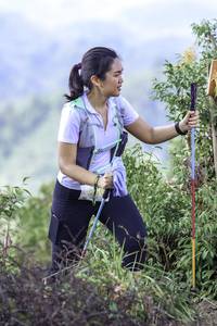 BIB: 
                            <button type="button" onclick="openModal(24769809)" class="btn btn-primary btn-sm float-right btn-popup" data-toggle="modal" data-target=".modal-high-quality">
                        <i class="fas fa-shopping-cart"></i> Add to Cart
                    </button>
                                            <button type="button" onclick="isThisMe(24769809, true)" class="btn btn-success btn-sm float-right btn-popup btn-isme hidden" data-toggle="tooltip" data-placement="bottom" title="นี่คือรูปของคุณใช่ไหม คลิกที่นี่เพื่อเอาเข้าอัลบั้ม">
                        <i class="fas fa-plus"></i> Add to album
                    </button>
                    <button type="button" onclick="isThisMe(24769809, false)" class="btn btn-warning btn-sm float-right btn-popup btn-isnotme hidden">
                        <i class="fas fa-ban"></i> Remove from album
                    </button>